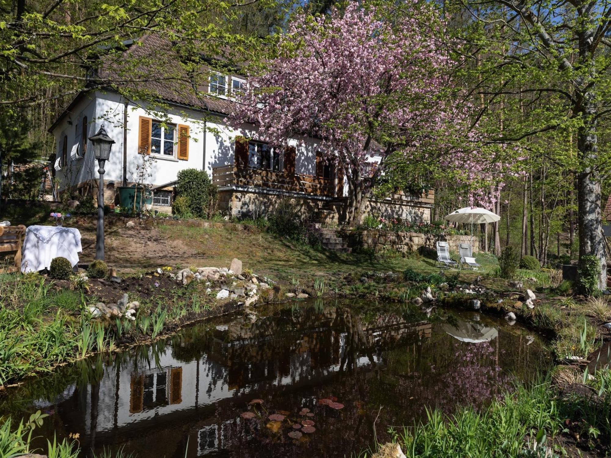 Charming Apartment In Wei Enbrunn Near Forest Weissenbrunn Εξωτερικό φωτογραφία
